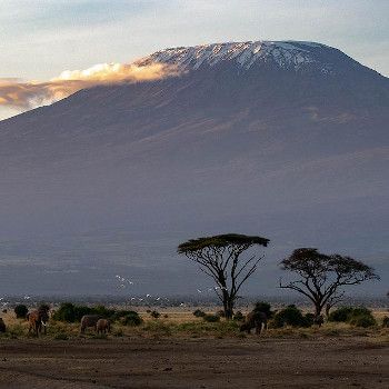 Park Narodowy w Kenii. Wulkan, zwierzęta.